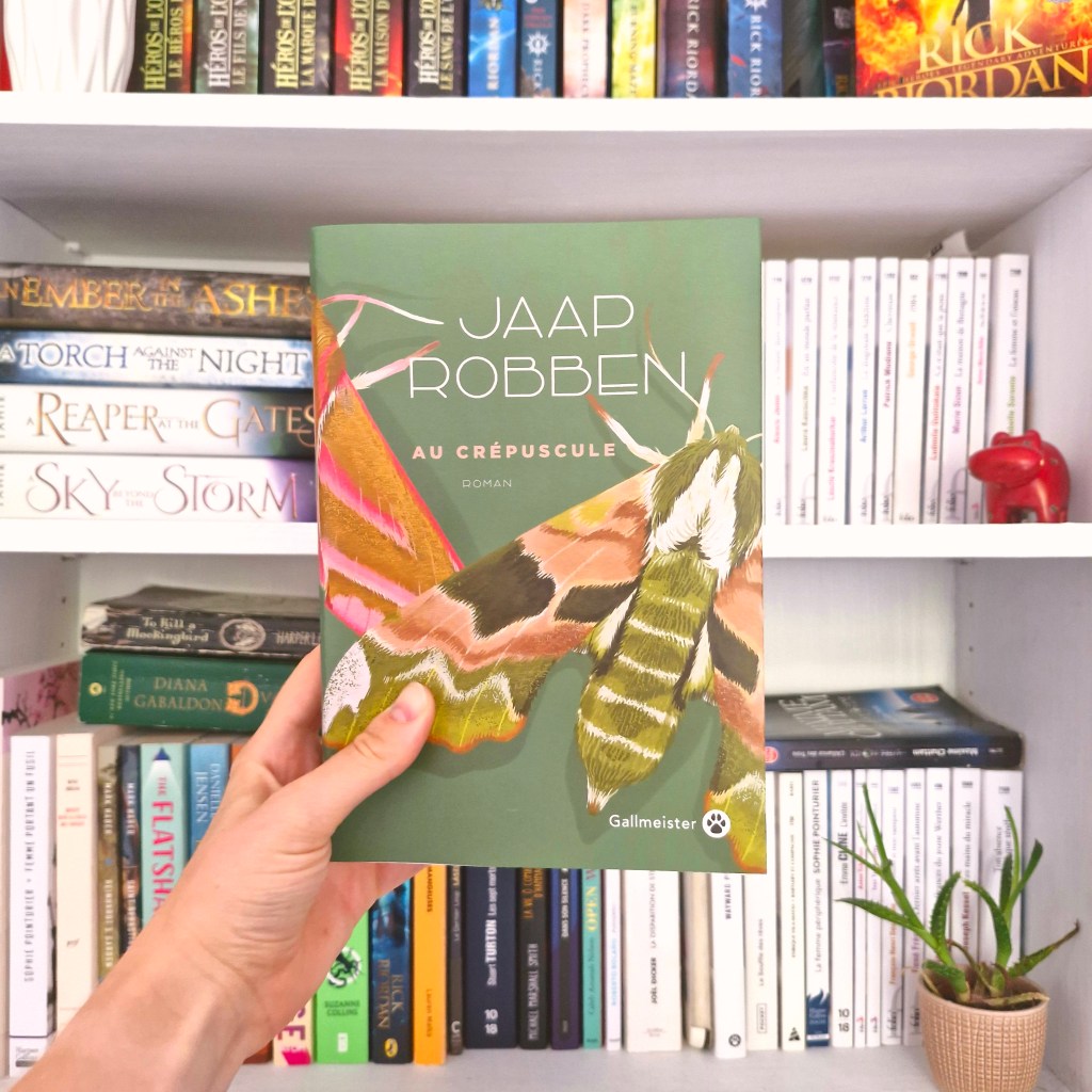 &laquo;&nbsp;Au crépuscule&nbsp;&raquo;, Jaap&nbsp;Robben